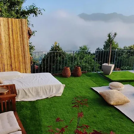 Puro Wild * Geres