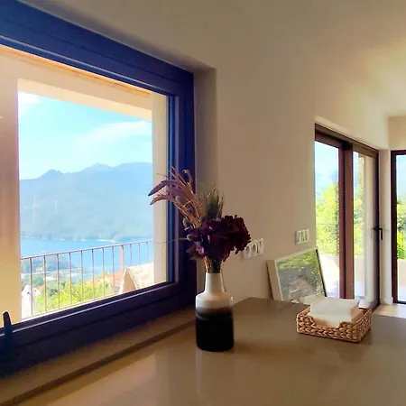 Puro Wild *